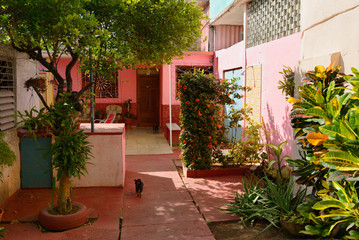 Fototapeta na wymiar Pink outdoor courtyard in downtown Varadero Cuba with plants and dogs