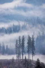 Afwasbaar Fotobehang Mistig bos Wolken in de bergen in Noord-Idaho.