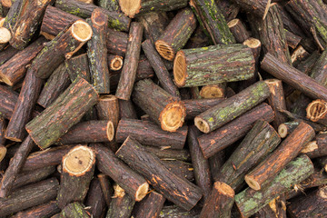 wet tree stump, acacia