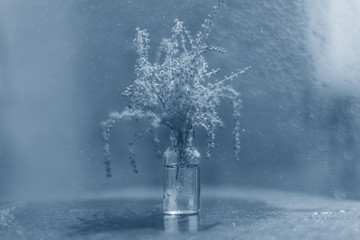 Spring flowers in a miniature vase with bokeh in the background in classic blue color.