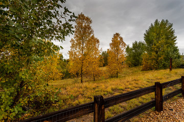 Fototapeta premium Fall landscape scene with cloudy sky, wood fence, and aspen trees in sloping terrain