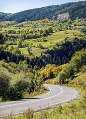 Autumn colors in the forest , highlands and mountain of savsat. Artvin province of turkey 