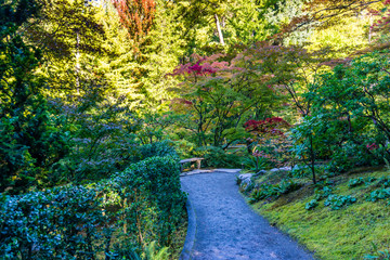 Path Bench And Trees 3