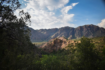 Naklejka premium chisos basin at big bend national park