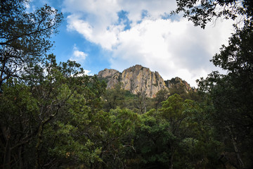 big bend national park