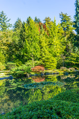 Fototapeta na wymiar Seattle Garden In Autumn 12