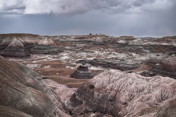 petrified forest national park