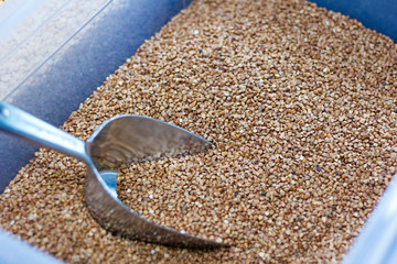 Buckwheat seeds with an iron scoop