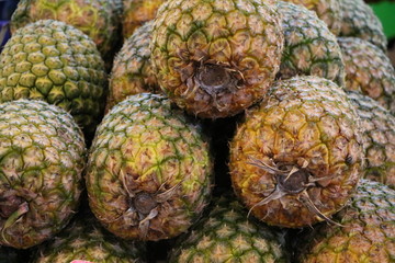 Ananas sativus