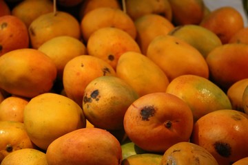 Ripe mangoes in Australia