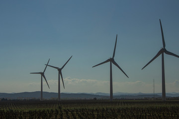 wind turbines in the vineyards against the light