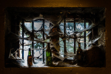 Fototapeta na wymiar Window full of spider web art 