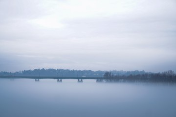 Bridge and trees in the fog