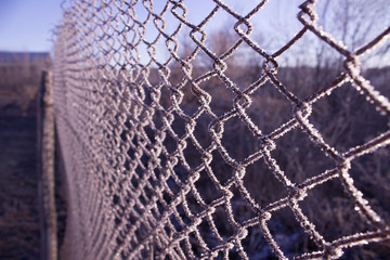 Fence of metal mesh covered with frost. The concept of incarceration behind a frozen metal mesh into custody. Cold winter morning.