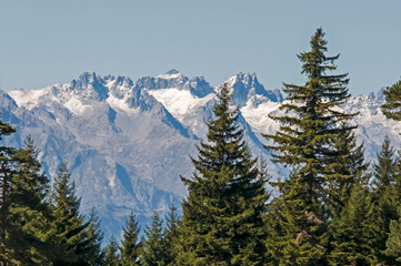 Autumn colors in the forest , highlands and mountain of savsat. Artvin province of turkey 