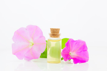 Fototapeta na wymiar mallow essential oil in beautiful bottle on White background