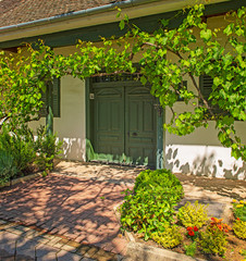 Fototapety na wymiar - Fototapeta24.pl