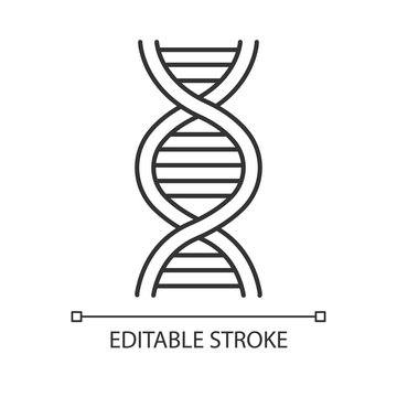DNA helix linear icon. Deoxyribonucleic, nucleic acid structure. Chromosome. Molecular biology. Genetic code. Thin line illustration. Contour symbol. Vector isolated outline drawing. Editable stroke