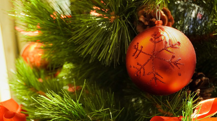 Shiny Christmas red ball hanging on pine branches               
