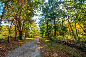 Walking path along Battle Road in Concord, MA