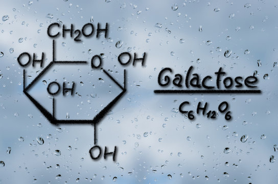 Structural model of Galactose
