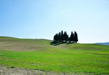 Tuscany landscape with cypresses in early spring