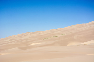 Fototapeta na wymiar sand dune in the great sand dune national park on a sunny day
