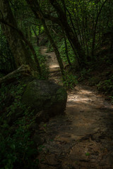 Kanchanaburi Jungle Waterfalls and Pristine Phuket Beaches
