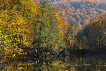 Buyuk Lake in Yedigoller National Park, Bolu, Turkey