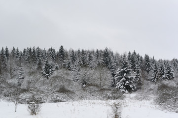 winter landscape with trees and snow