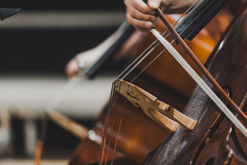 Side views of classical instruments - violin, double basses, cellos, closeup of hands