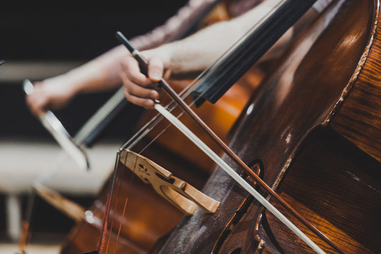 Side views of classical instruments - violin, double basses, cellos, closeup of hands
