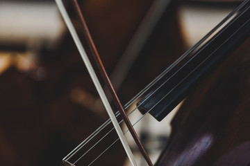 Side views of classical instruments - violin, double basses, cellos, closeup of hands