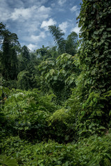 Kanchanaburi Jungle Waterfalls and Pristine Phuket Beaches