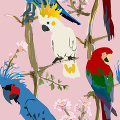Three vibrant cockatoo parrots are sitting on tree branches in delicate pink flowers seamless vector illustration. Picture with exotic bird on pink background. Endless pattern.
