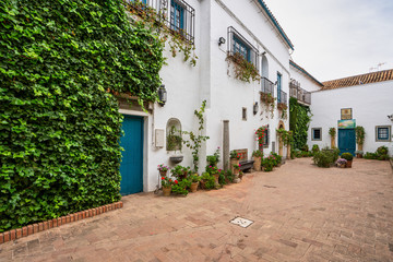Courtyard garden of Viana Palace in Cordoba, Andalusia, Spain.