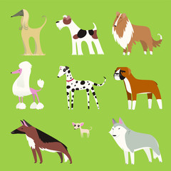 dog breeds