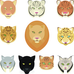 Obraz premium lions heads
