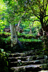 Subordinate shrines of Kifune Shrine. Sakyo-ku, Kyoto, Japan