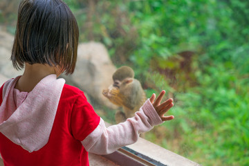Child girl looks at a little monkey behind a glass