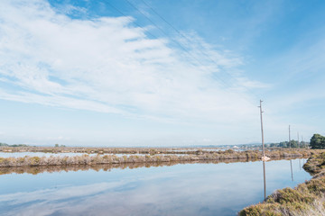 Wetland in Salines the Es Trenc, saltworks in the natural protected park. Majorca Balearic islands