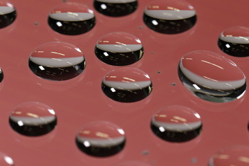 Water droplets Macro Photography on CD Rom