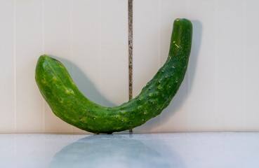 Curved cucumber as letter C on the table, near wall with white tiles.  Farmers cucumbers are...