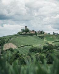 Die Burg Ravensburg in der Nähe von Sulzfeld im Naturpark Stromberg Heuchelberg