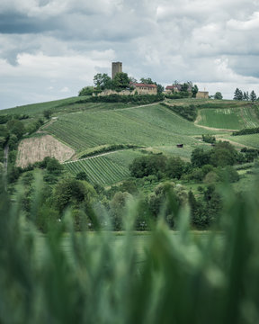 Die Burg Ravensburg in der N&auml;he von Sulzfeld im Naturpark Stromberg Heuchelberg