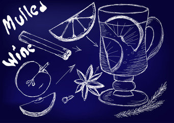 Set of mulled wine, fruit and spices, hand drawn