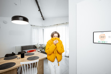 Young woman in winter clothes, feeling cold, waiting for the house to heat up, controlling heating...
