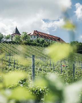 der Michaelsberg im sch&ouml;nen Naturpark Stromberg Heuchelberg nahe Tripsdrill
