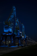 Dźwigozaury - Cranesaurs - colorfully illuminated cranes on the quay of Szczecin Łasztownia	