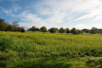 Fototapeta premium Landschaft